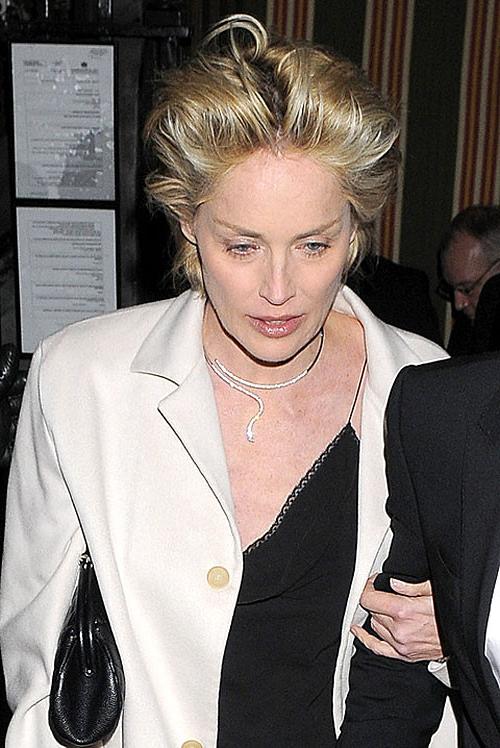 16P Sharon Stone showing her shaved pussy and upskirt