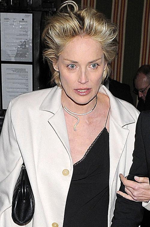 16P Sharon Stone showing her shaved pussy and upskirt