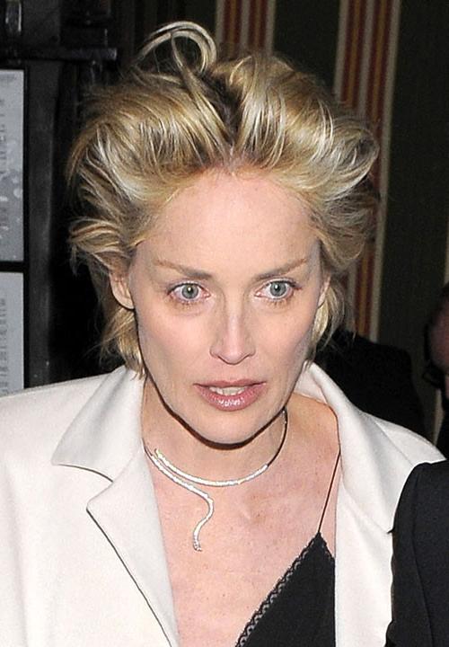16P Sharon Stone showing her shaved pussy and upskirt