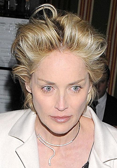 16P Sharon Stone showing her shaved pussy and upskirt