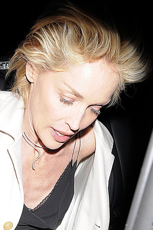 16P Sharon Stone showing her shaved pussy and upskirt