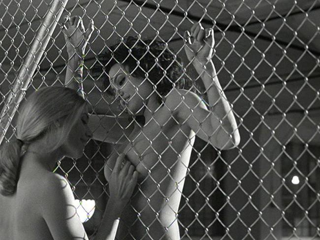 20P Black hair sexy celebrity Angelina Jolie nude in lesbian action