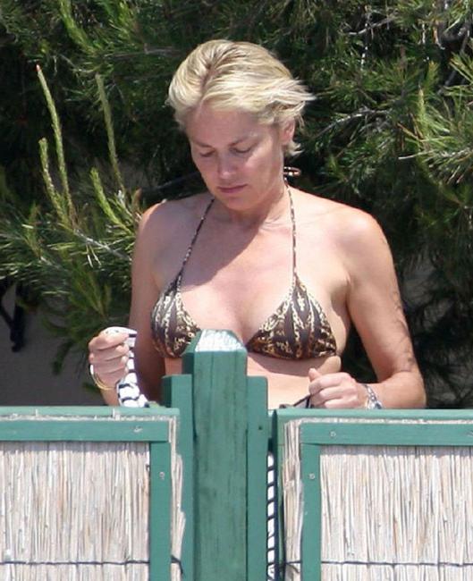 15P Celebrity babe Sharon Stone very hot upskirt and nude body