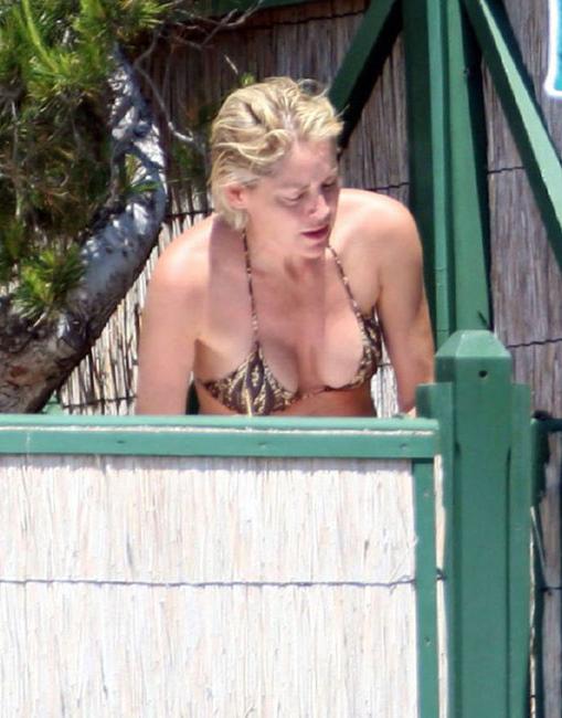 15P Celebrity babe Sharon Stone very hot upskirt and nude body
