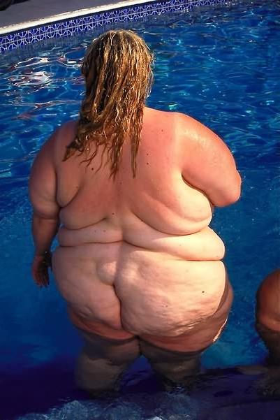 20P Couple of giant fat whales swimming