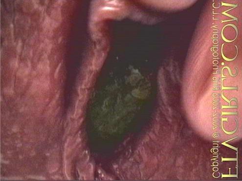 24P Hot latino cumming for insertion