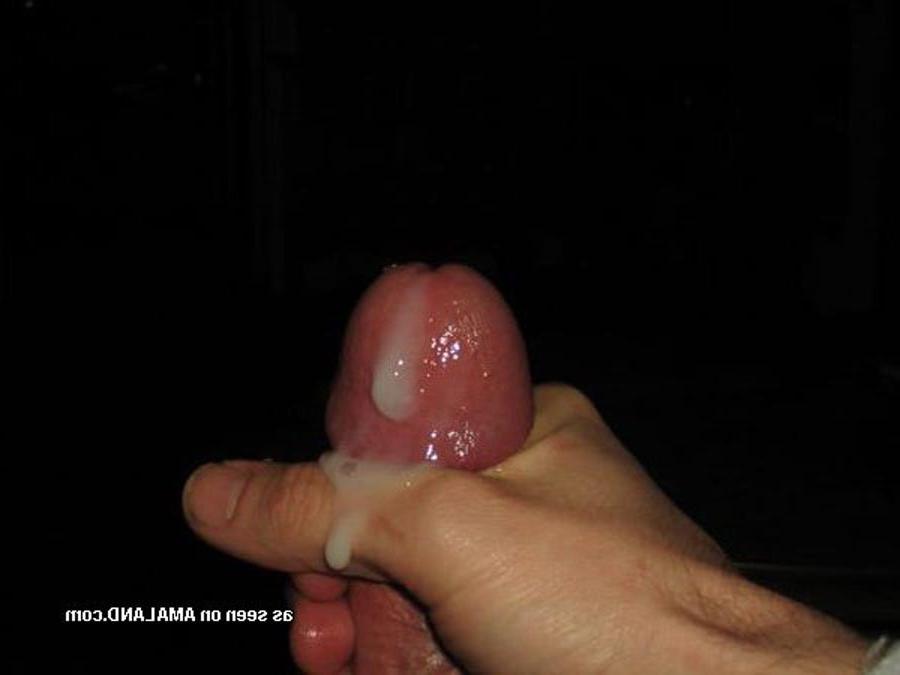 15P Ripped hunk sucking his lover's cock and cums
