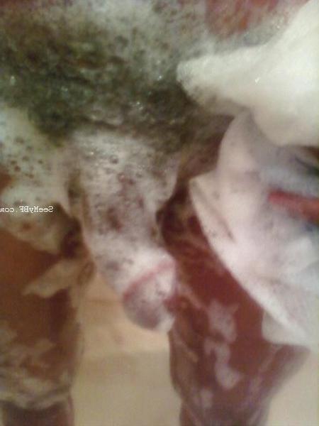 12P Homemade assorted pictures of cute boyfriends having hard sex