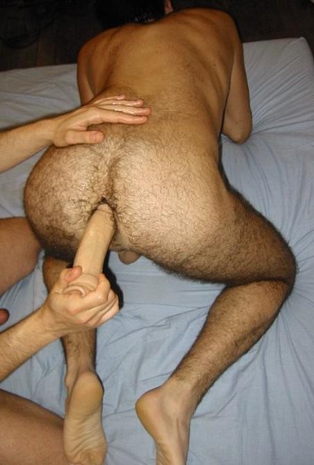 20P Bear cubs with shaved balls sucking and hot dildoing pleasure