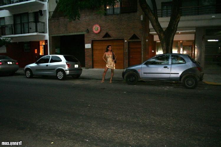 16P Sexy exotic tranny slut getting her throat and ass poked