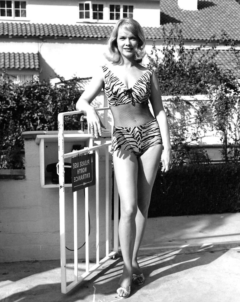 25P Celebrity Boobs - Anne Francis