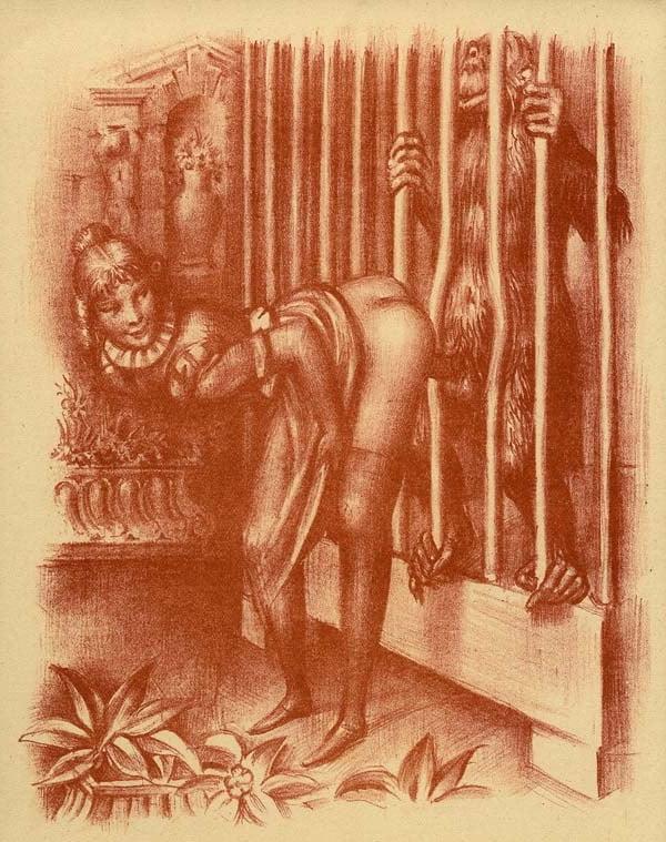 8P Vintage Porn illustrations