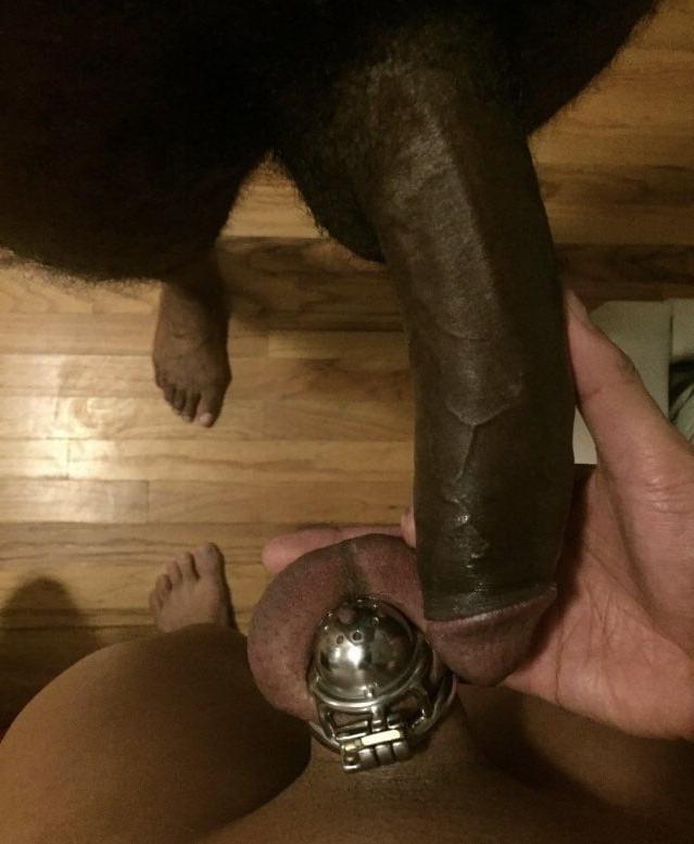 19P Cuckold comparing