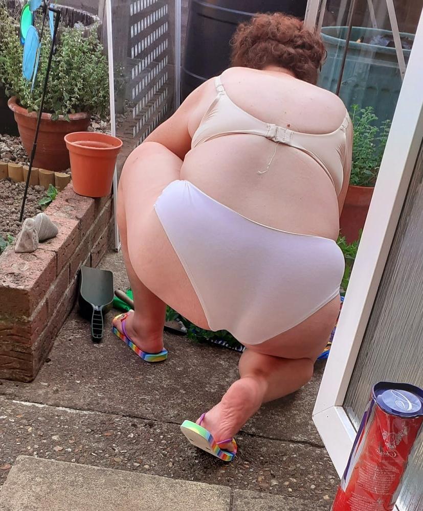 25P mix women in knickers