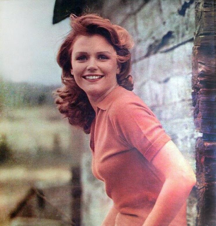 25P Celebrity Boobs - Lee Remick