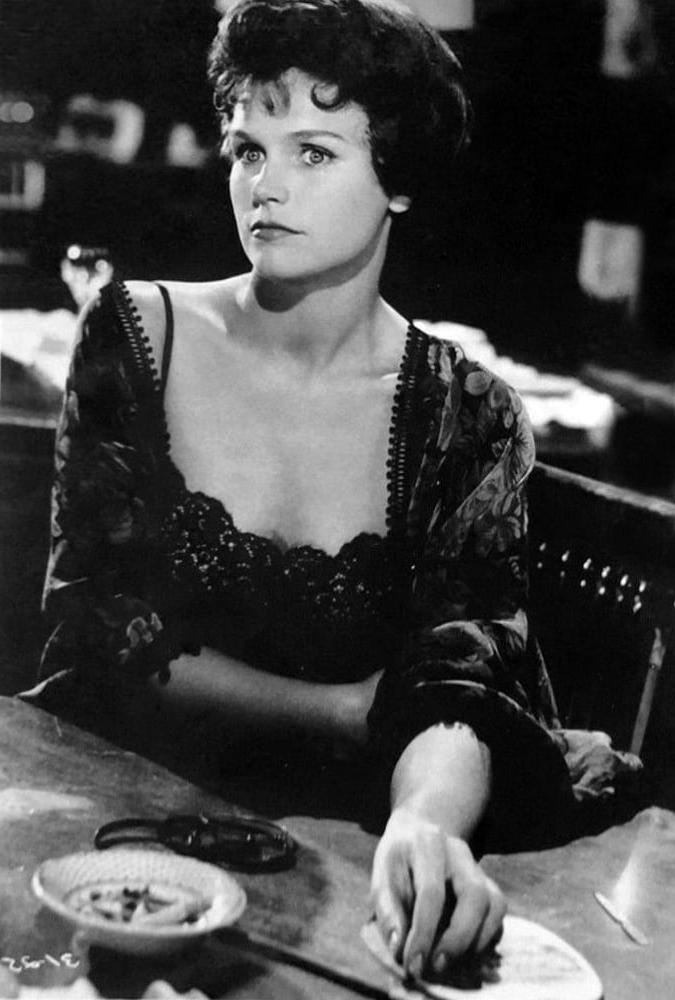25P Celebrity Boobs - Lee Remick