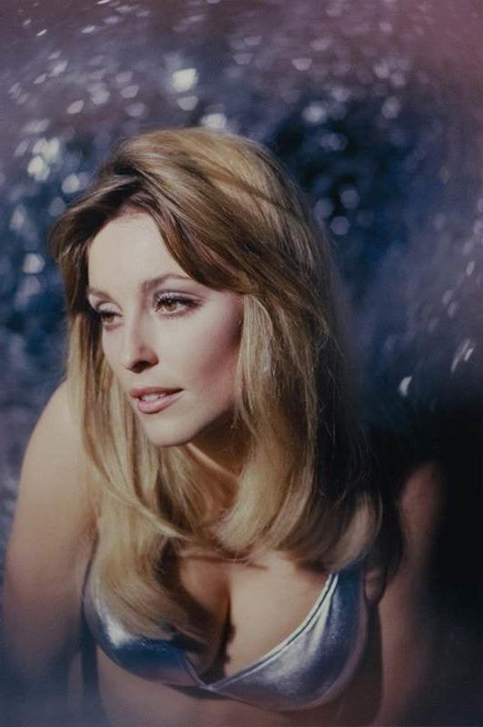 25P Celebrity Boobs - Sharon Tate
