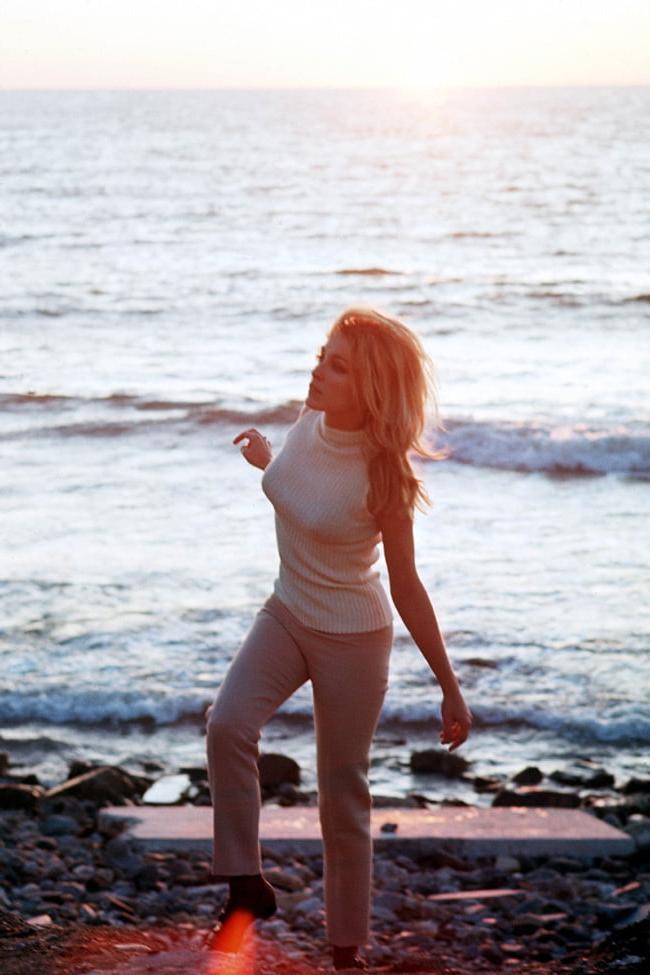 25P Celebrity Boobs - Sharon Tate