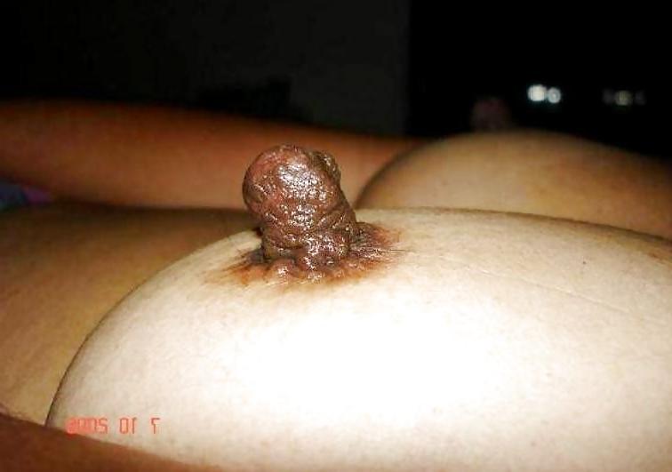 15P Hot Nipples Vol.II