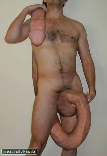 5P Extreme Proportions