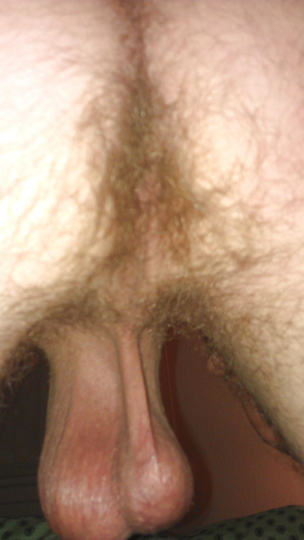 19P Hairy ass and big shaved balls