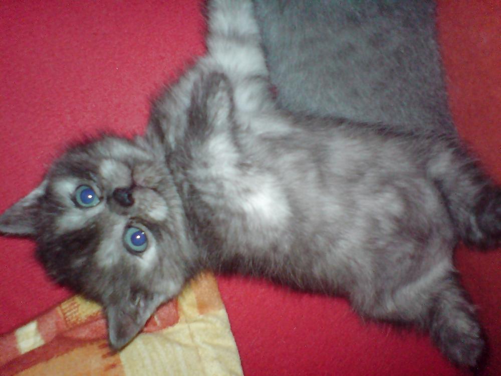 5P Soooo cute 