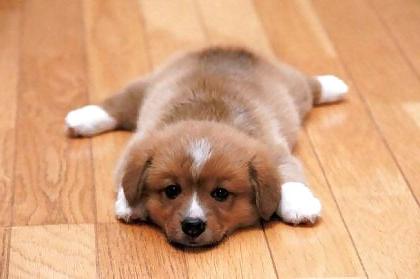 5P Soooo cute 