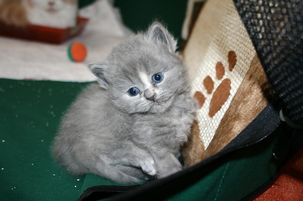 5P Soooo cute 
