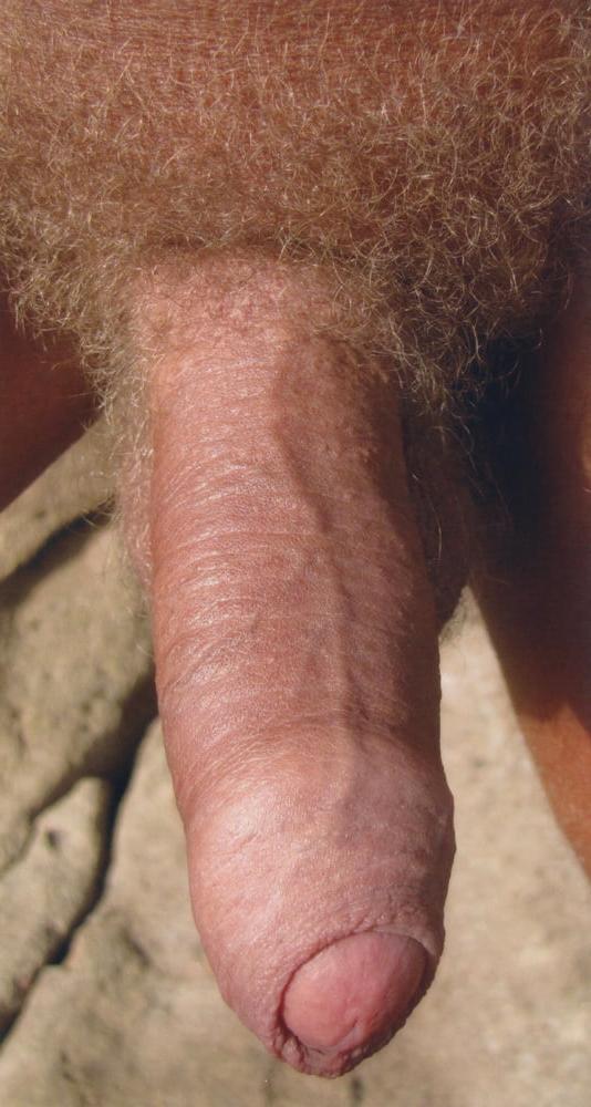 25P Vintage - ein geiler Foto-Mix von mir