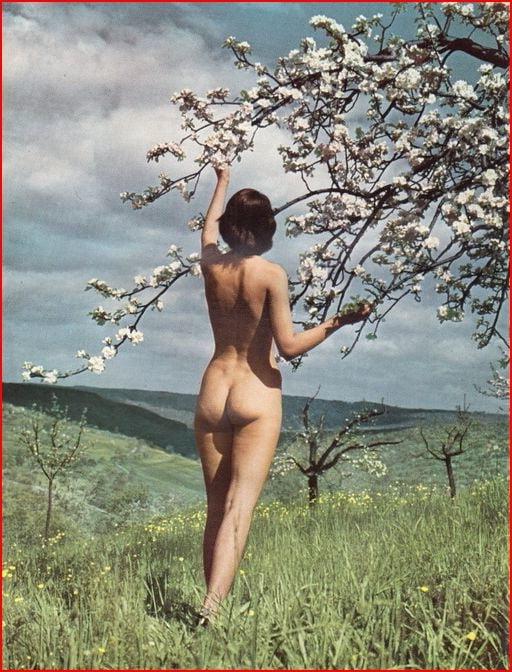 23P Naked people of vintage photos Vol. 22