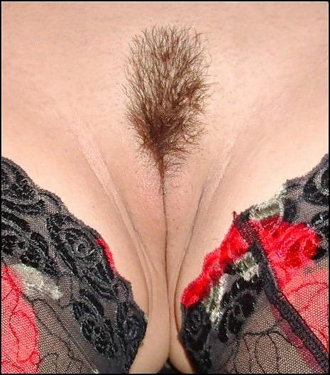 17P Brunette wife posing
