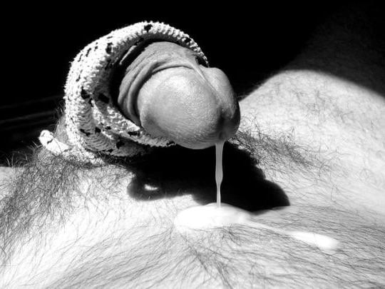25P The cuckold husband