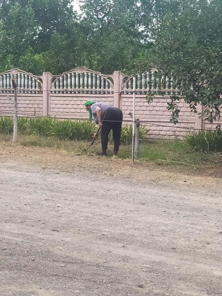 5P grandmother Galya