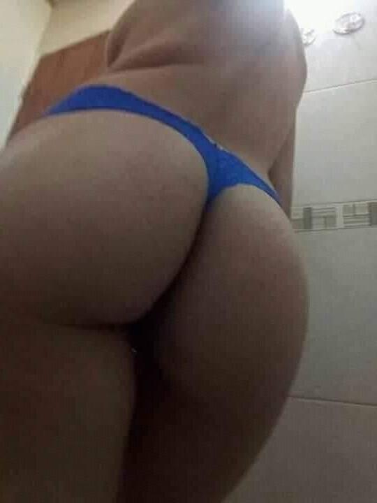 14P gatas  diversas 2020