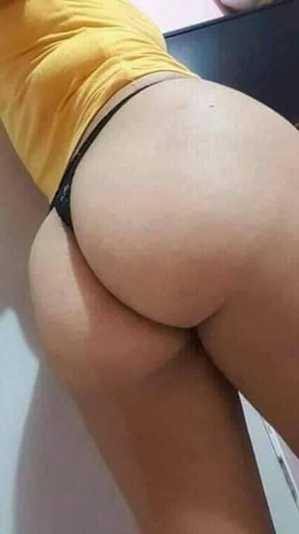 14P gatas  diversas 2020