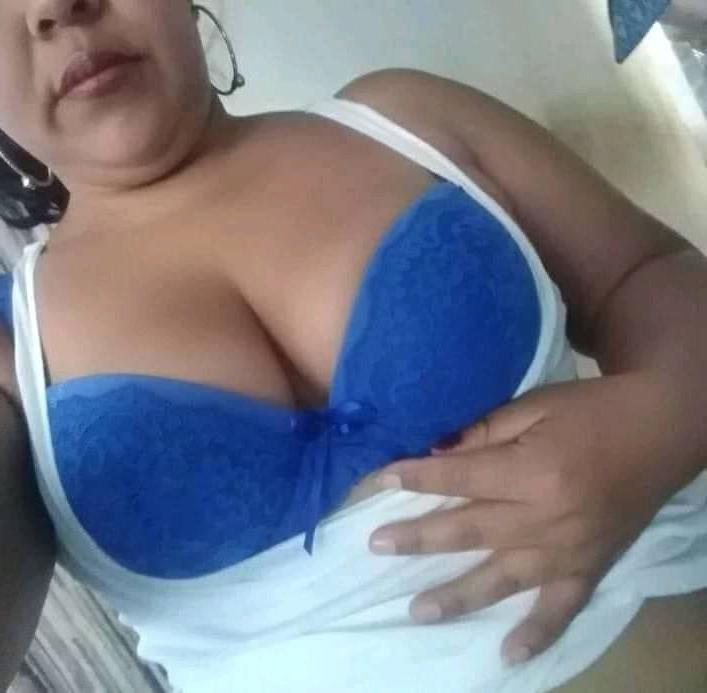 14P gatas  diversas 2020