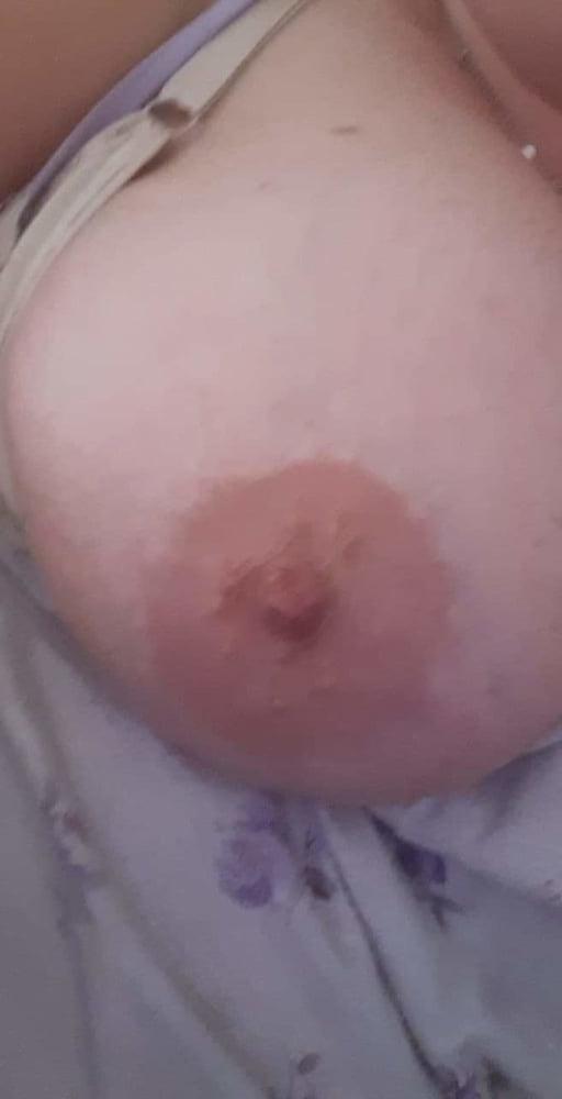 25P Milfona porca