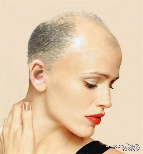 25P Celebrity bald fakes