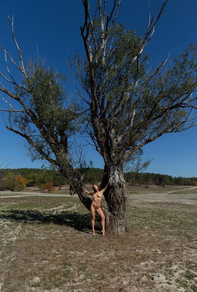 25P Tree Huggers 372