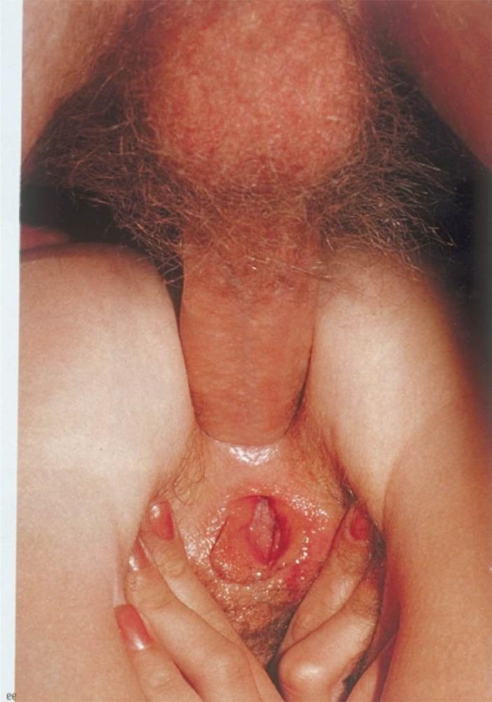 25P Vintage Retro Porno - Private Magazine - 084