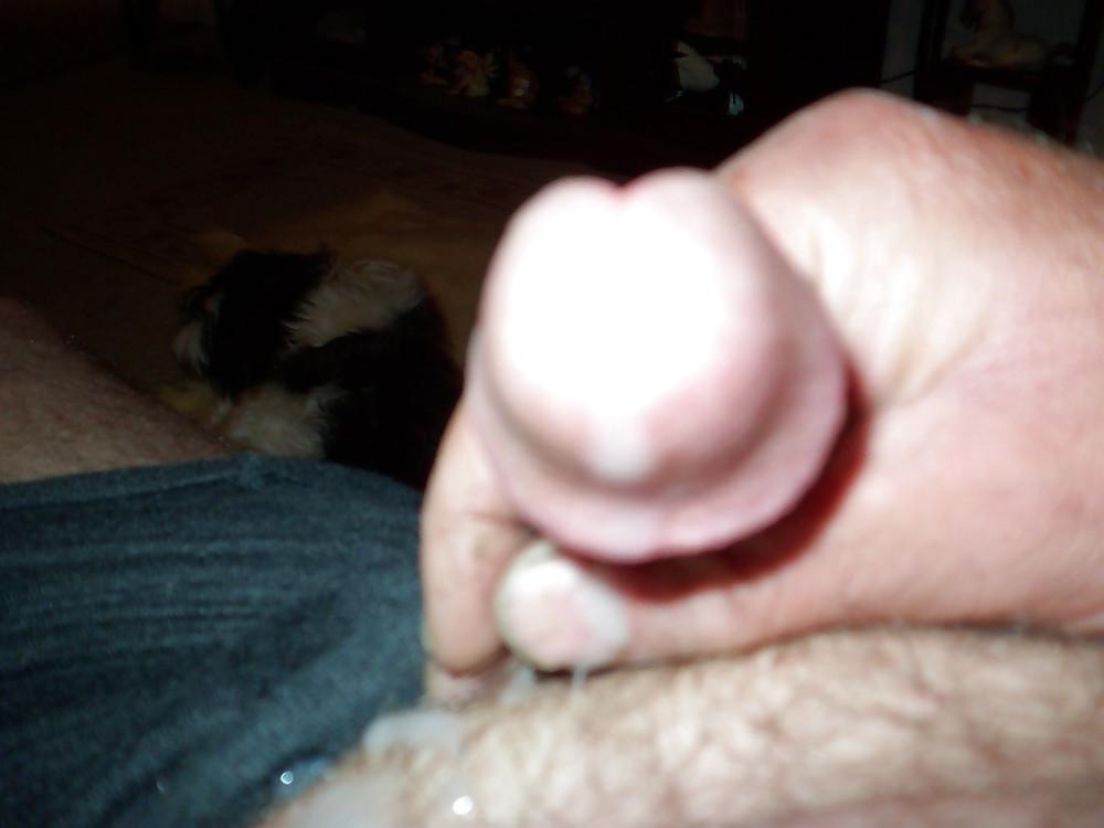 19P Pre cum