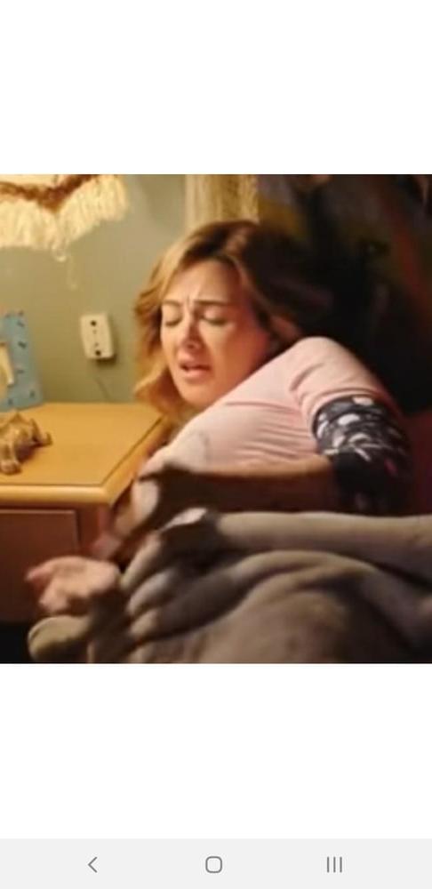 25P Donia samir ghanem (Celebrity  egypt)