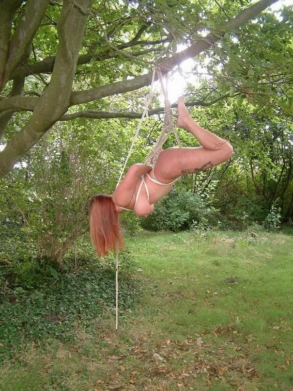 22P Bound to a Tree 3