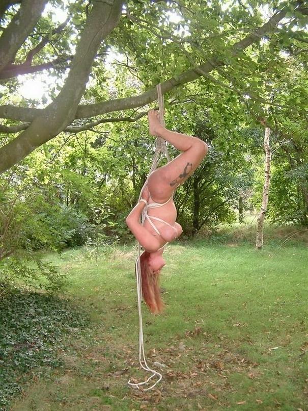 22P Bound to a Tree 3