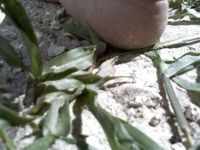 17P Cuban feet 