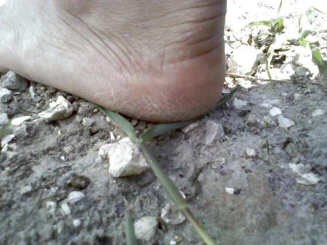 17P Cuban feet 