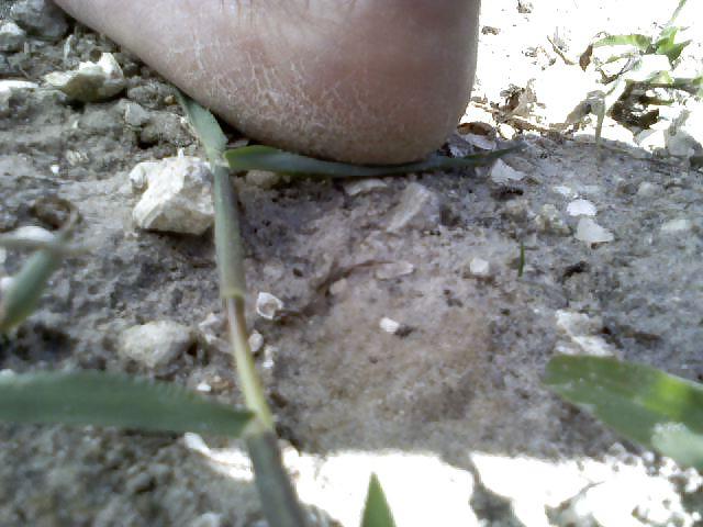 17P Cuban feet 