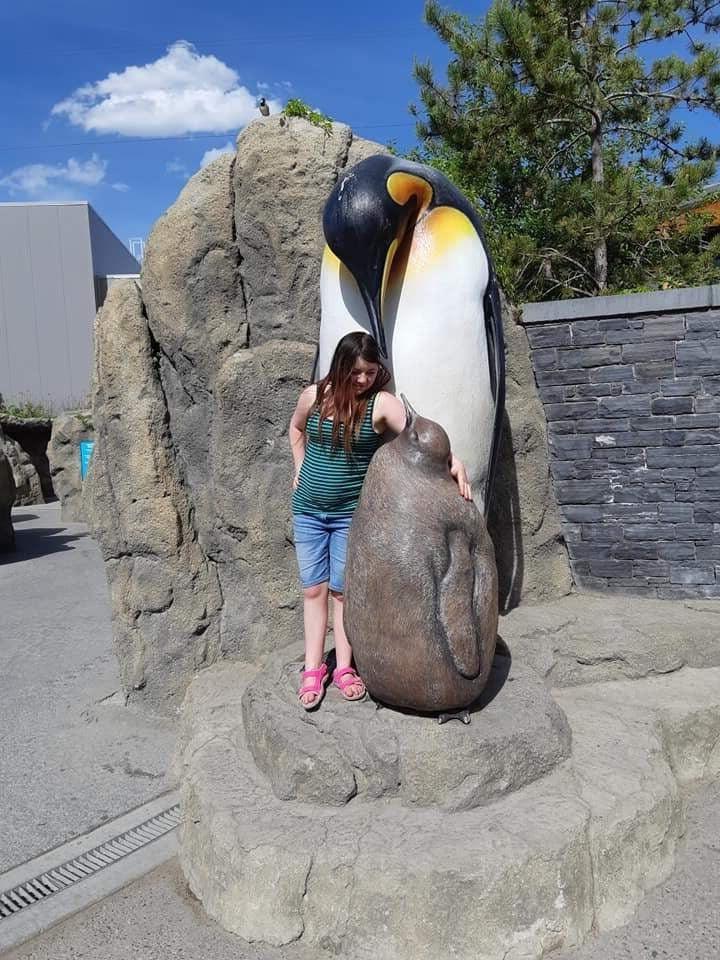 18P 2019 Pregnant Pics