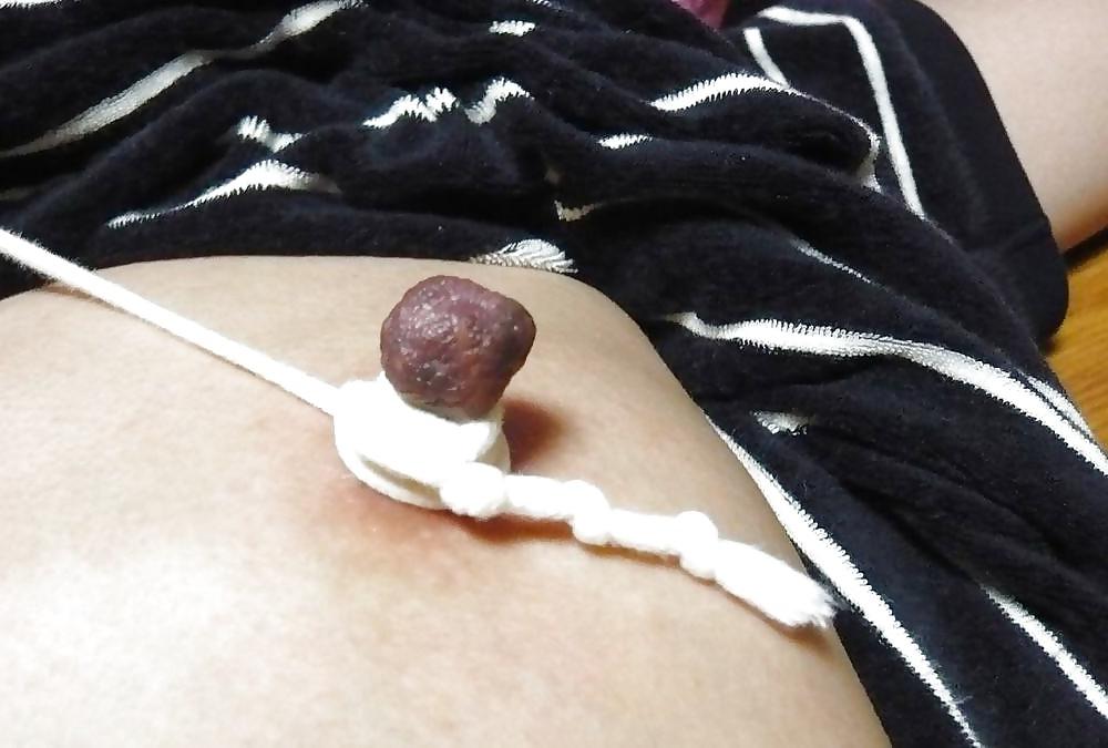 25P BIG Nipples