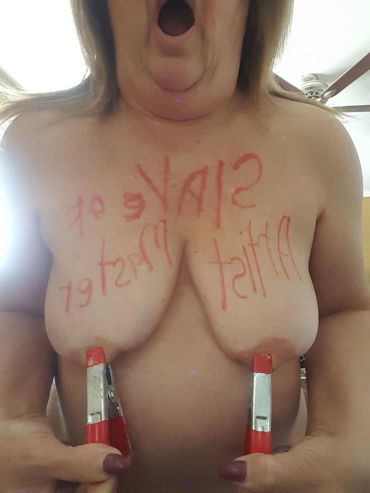 11P Pig725 Udders and clamps